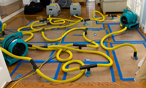 Professional Crawl Space Water Removal technician working in Steilacoom, WA